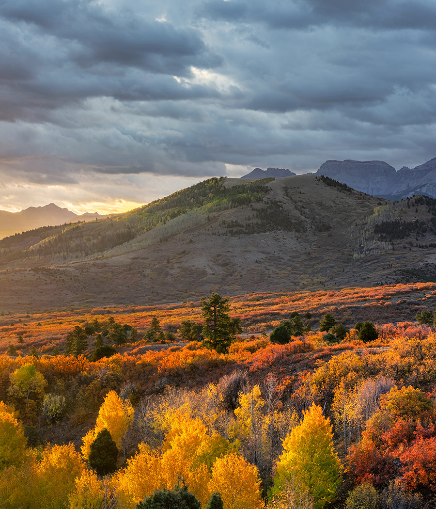 Colorado Mountains